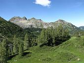 22 Vista verso Pizzo del'Orto, Pizzo Orobie, Tonale e Spondone